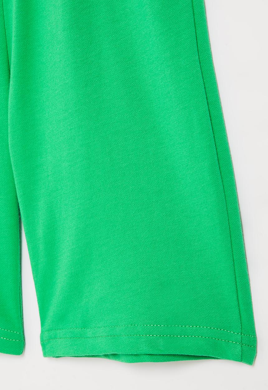 Pop Candy - Boys plain fleece shorts - green