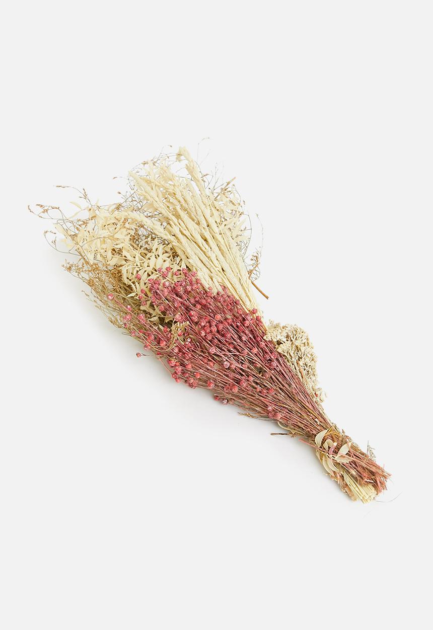 H&S - Dried blooms - pink