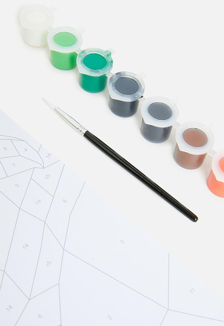H&S - Paint set - toucan