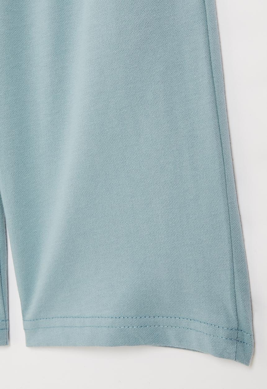 Pop Candy - Boys plain fleece shorts - blue