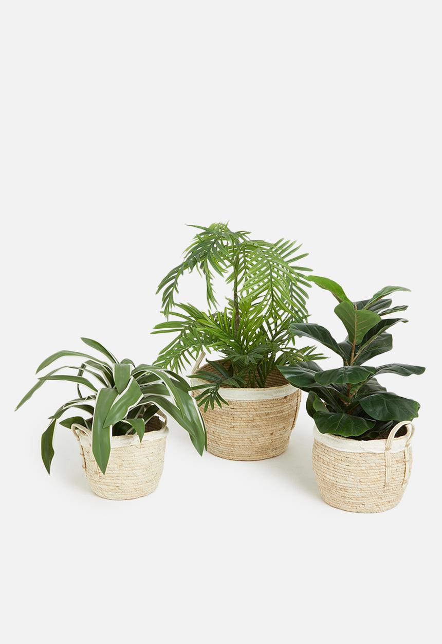 Storage Solutions - Stilow basket set of 3 - natural
