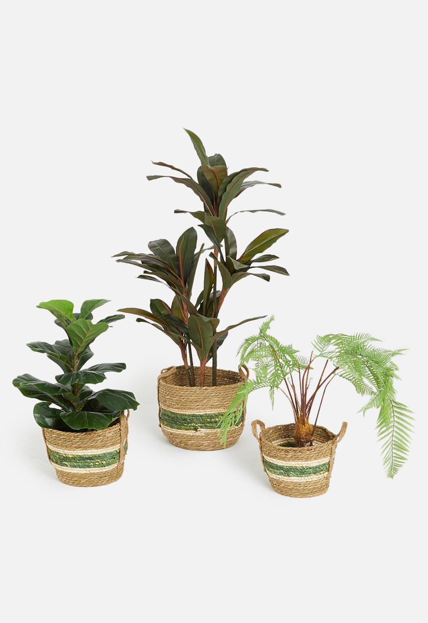 Storage Solutions - Willow basket set - green