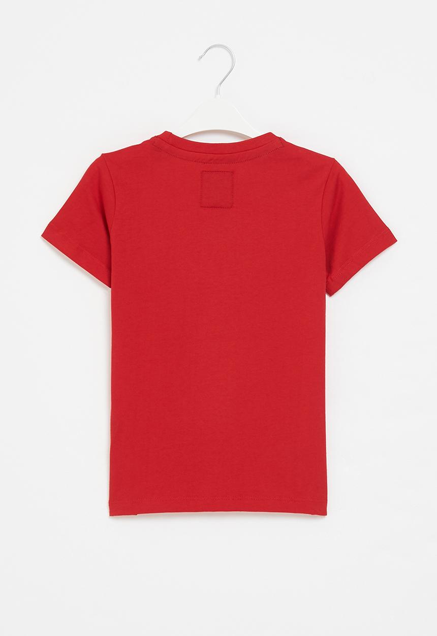 Aca Joe - Boys aca joe crackel heritage print tee - red