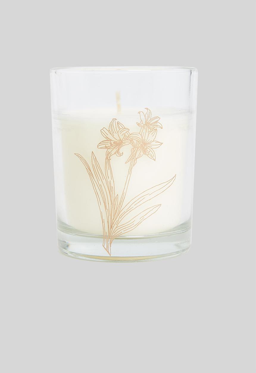 H&S - Sketch candle - Bamboo Sugarcane