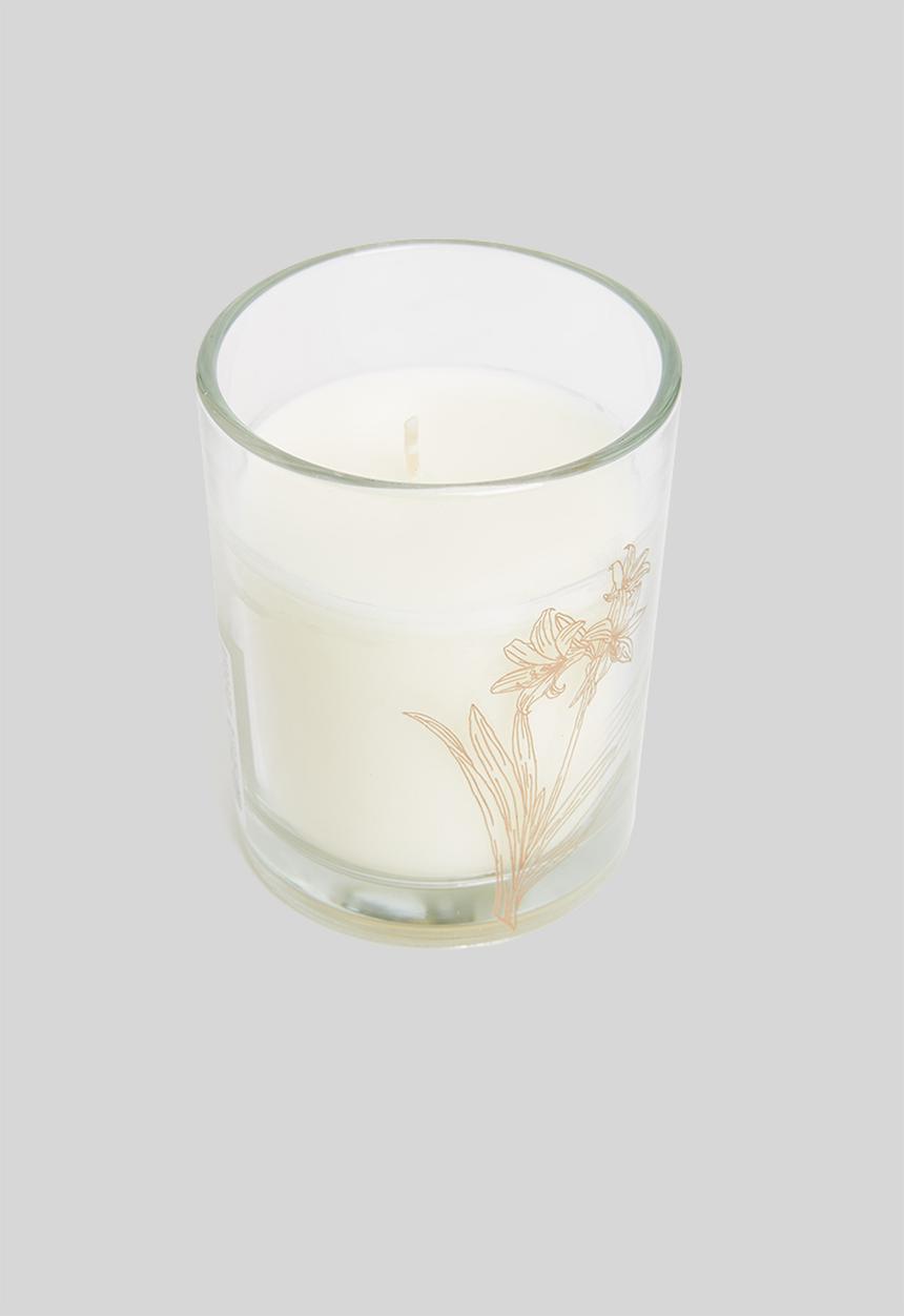 H&S - Sketch candle - Bamboo Sugarcane