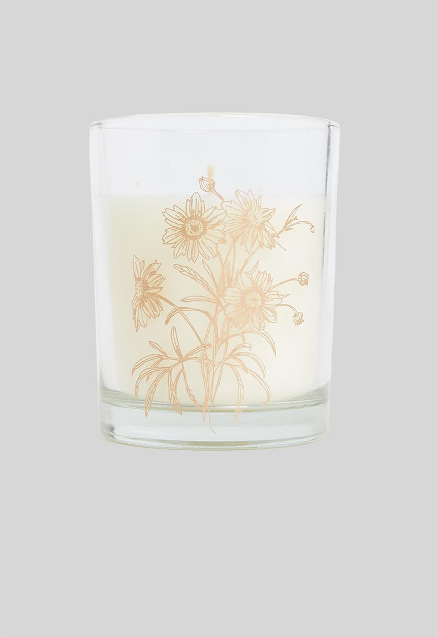 H&S - Sketch candle - Basil honey