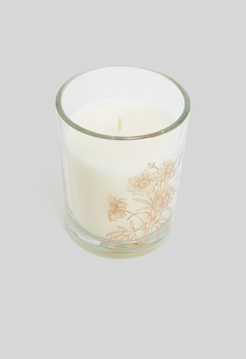H&S - Sketch candle - Basil honey