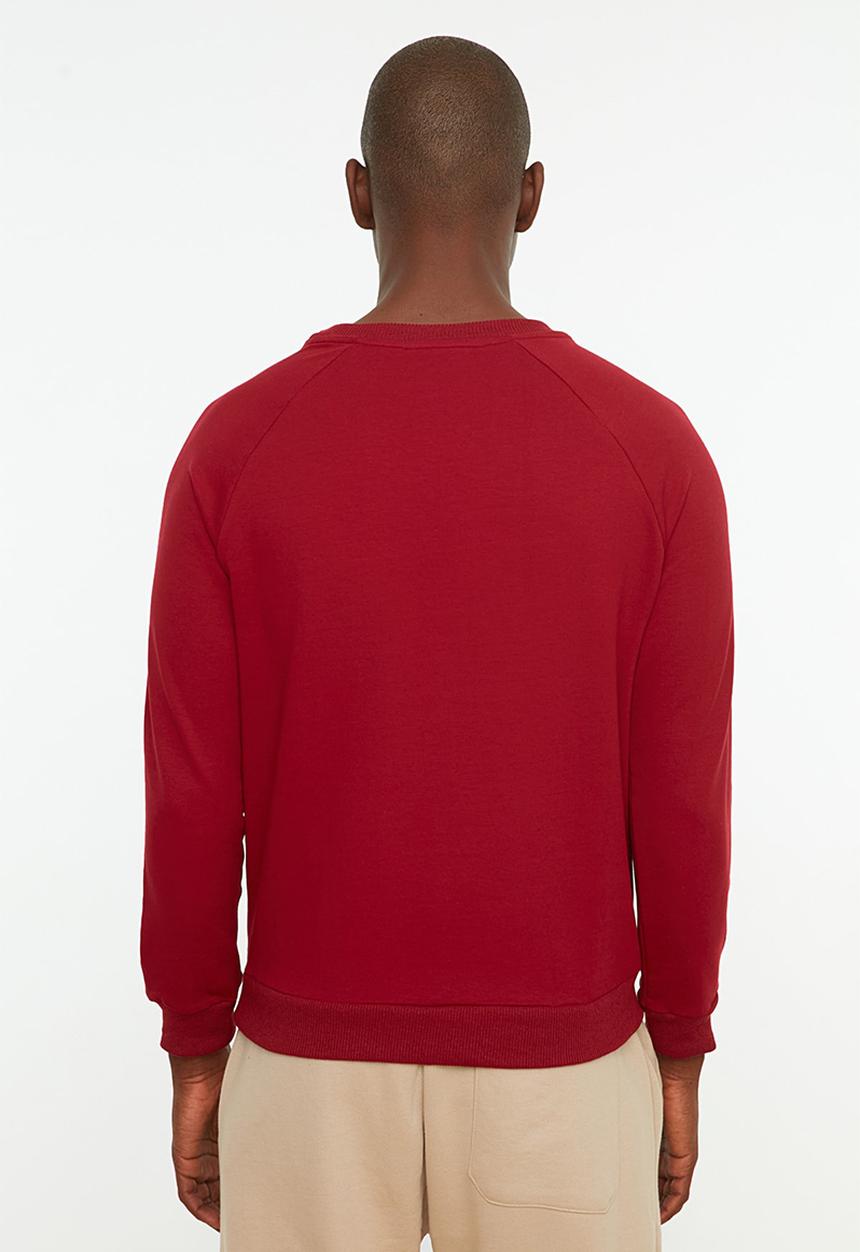 Trendyol - Original printed regular fit sweater - red