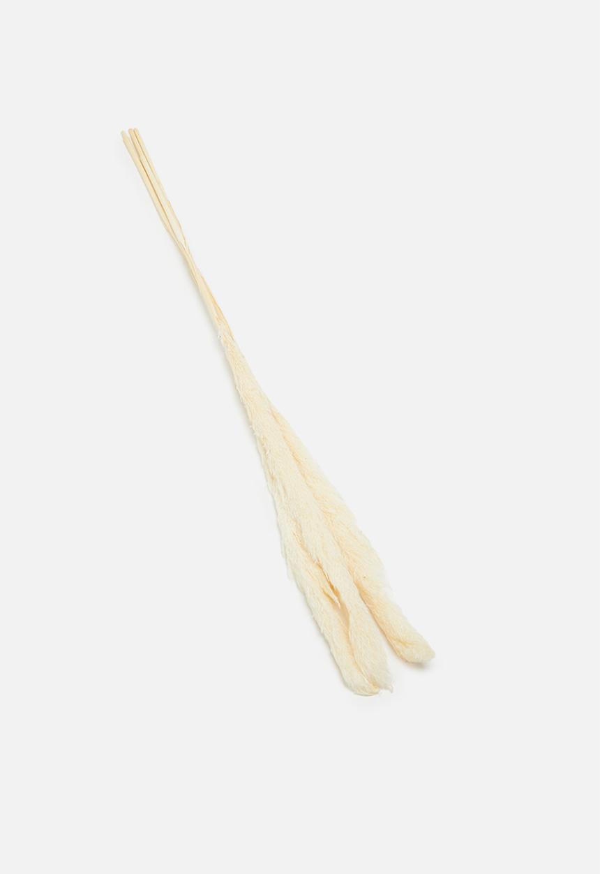 H&S - Pampas grass - natural