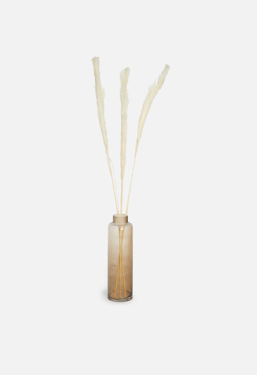 H&S - Pampas grass - natural