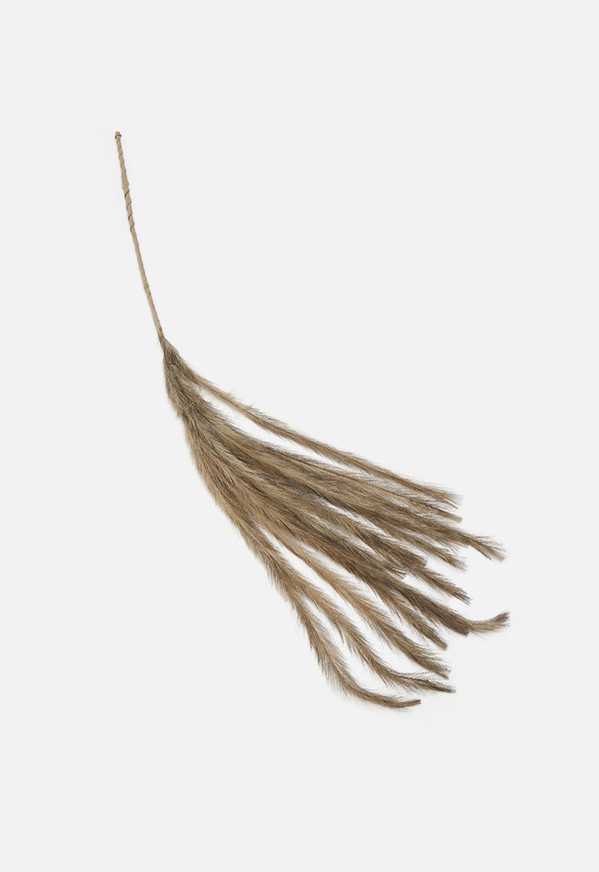 H&S - Feathers on stem - natural