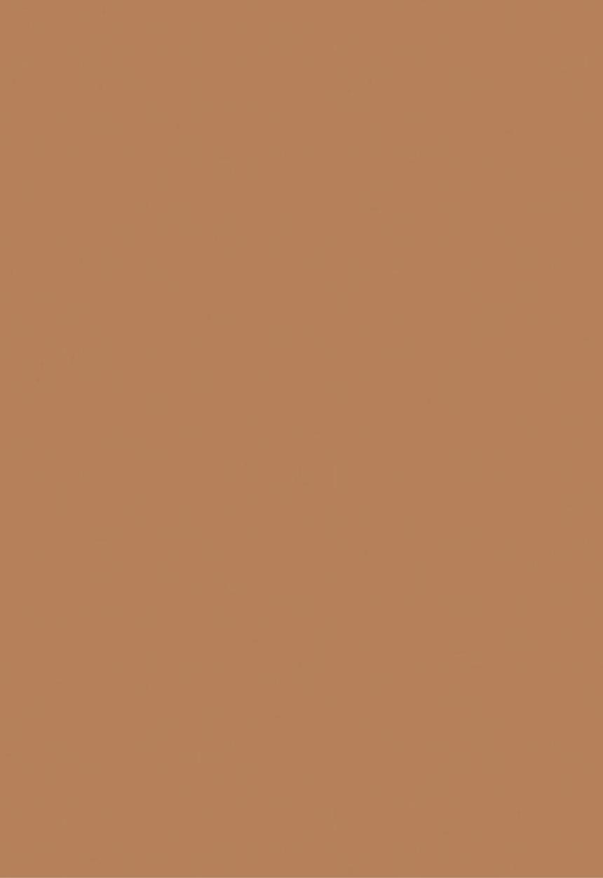 Black Opal - TRUE COLOR® Skin Perfecting Stick Foundation - Truly Topaz