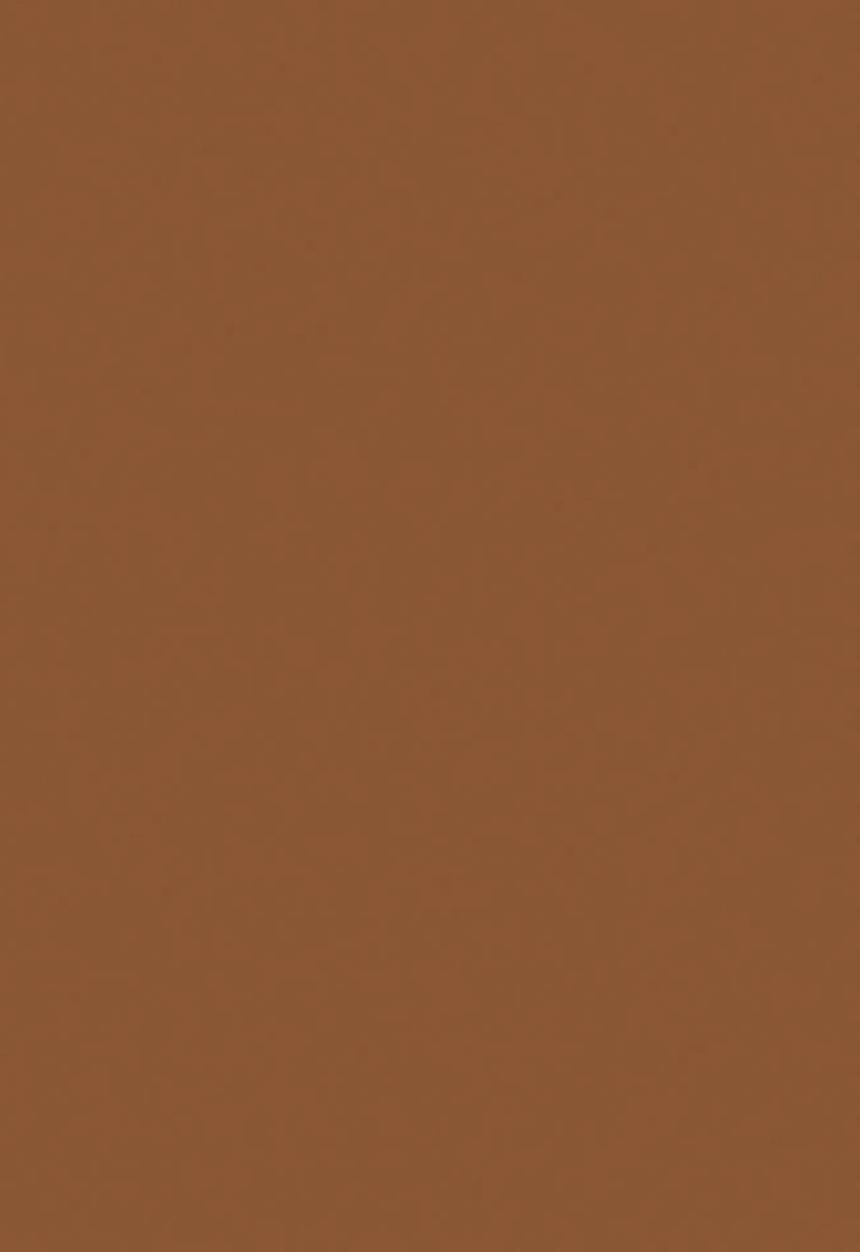 Black Opal - TRUE COLOR® Skin Perfecting Stick Foundation - Hazelnut