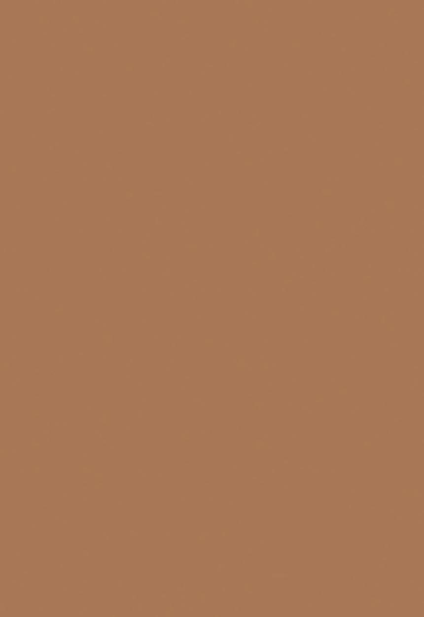 Black Opal - TRUE COLOR® Pore Perfecting Liquid Foundation - Heavenly Honey