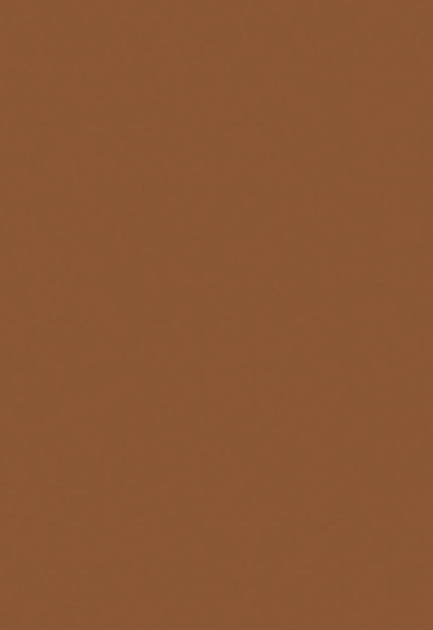 Black Opal - TRUE COLOR® Pore Perfecting Liquid Foundation - Hazelnut