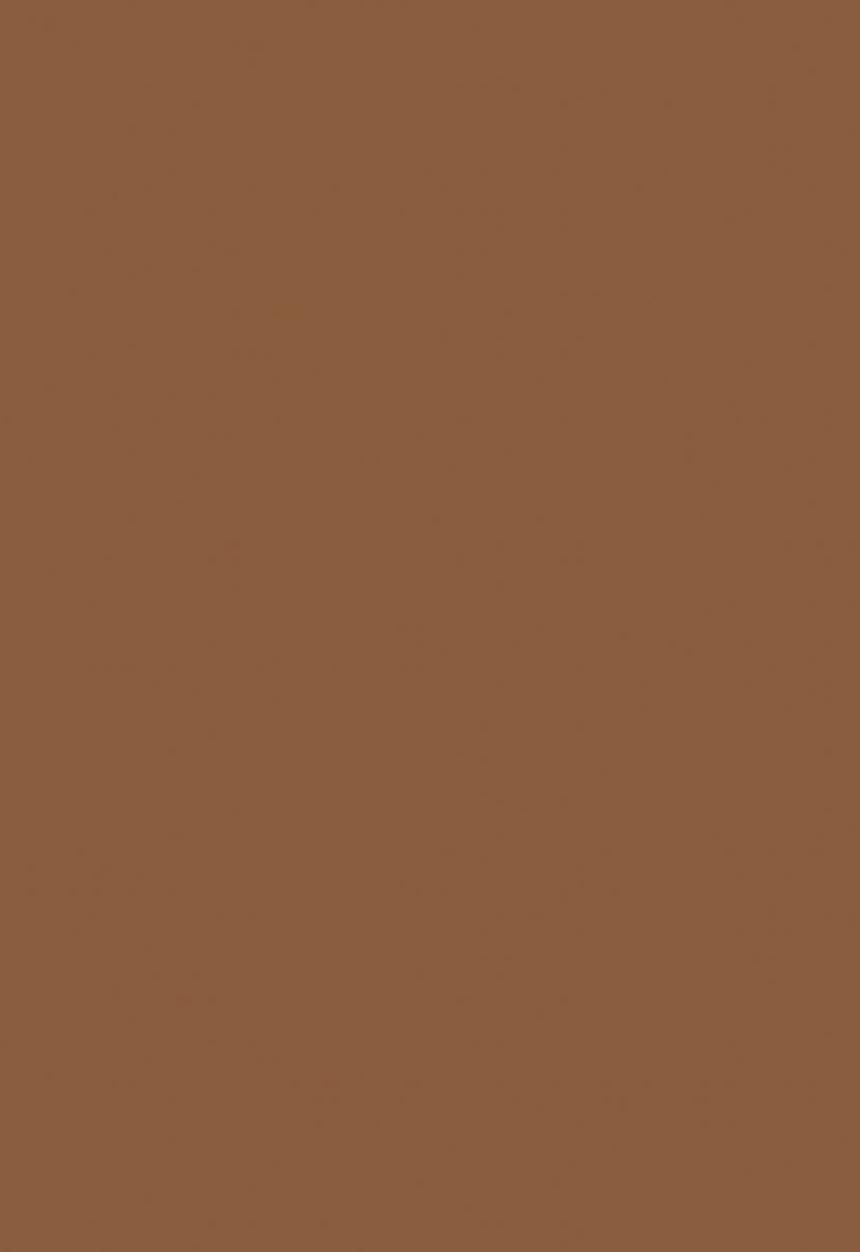 Black Opal - TRUE COLOR® Pore Perfecting Liquid Foundation - Nutmeg