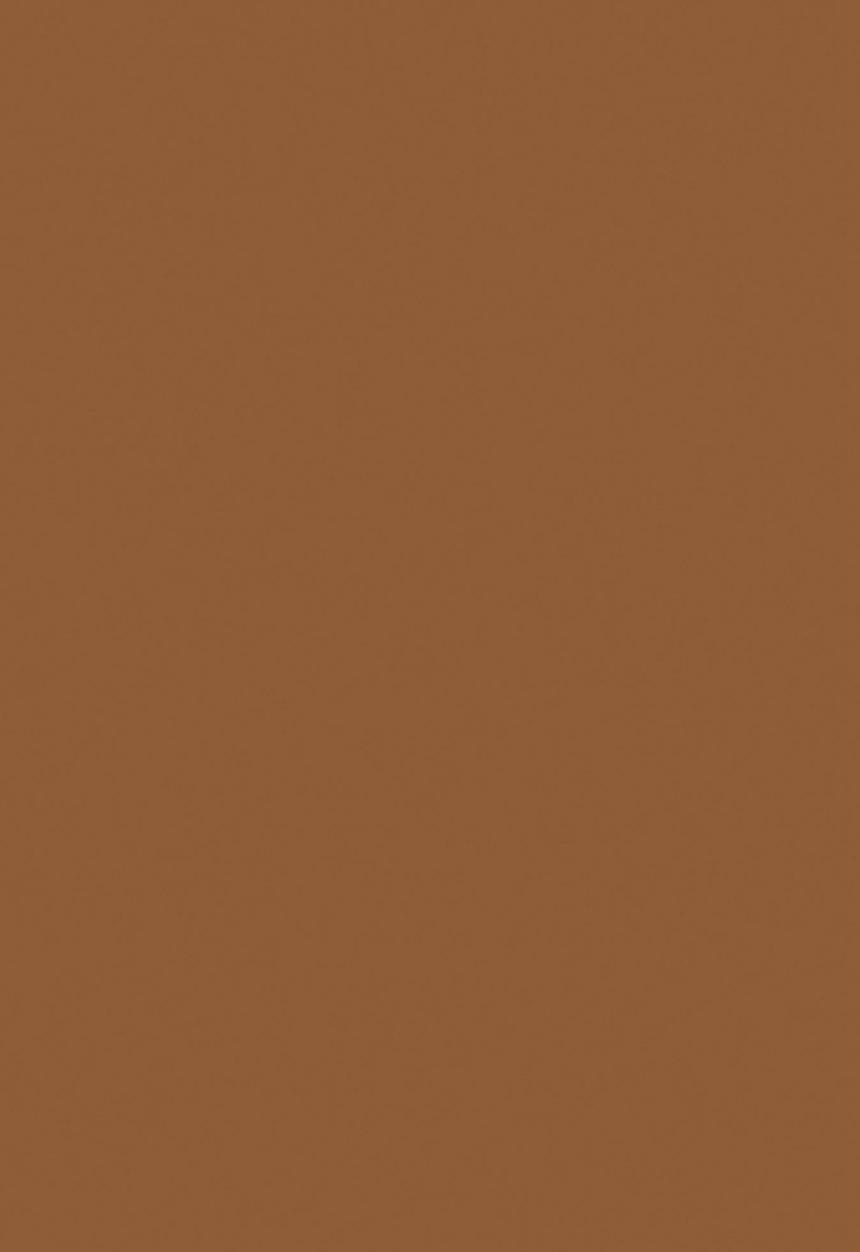 Black Opal - TRUE COLOR® Pore Perfecting Crème Powder - Amber
