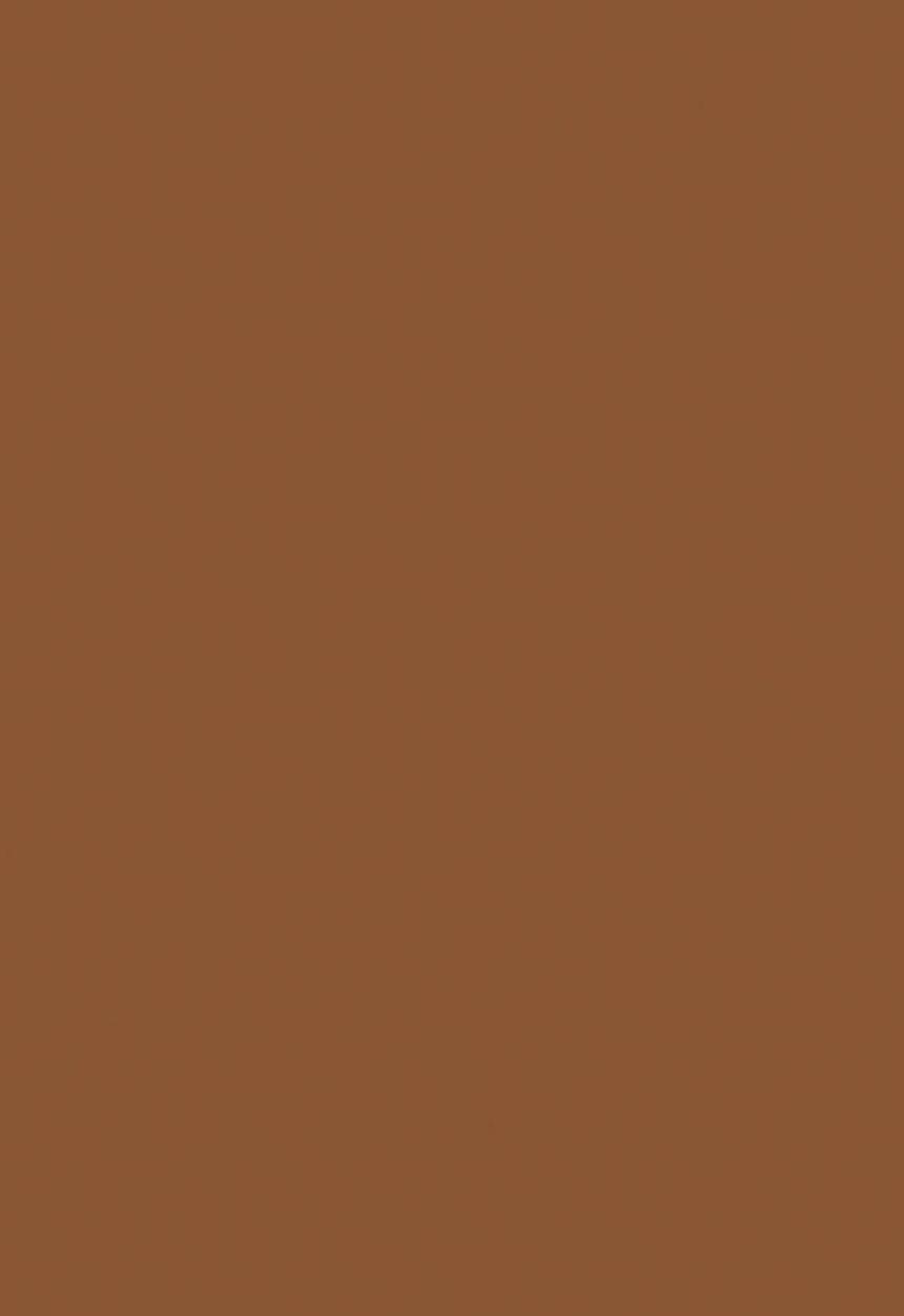 Black Opal - TRUE COLOR® Pore Perfecting Crème Powder - Hazelnut