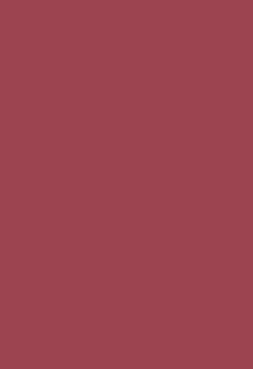 Black Opal - COLORSPLURGE™ Liquid Matte Lipstick - Chic Mauve 
