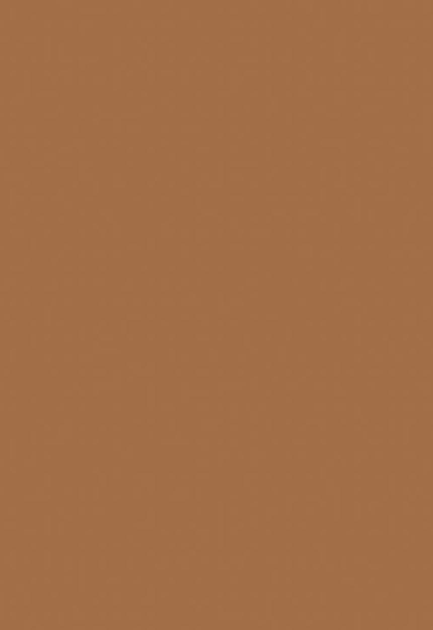Black Opal - TRUE COLOR® Pore Perfecting Liquid Foundation - Warm Almond