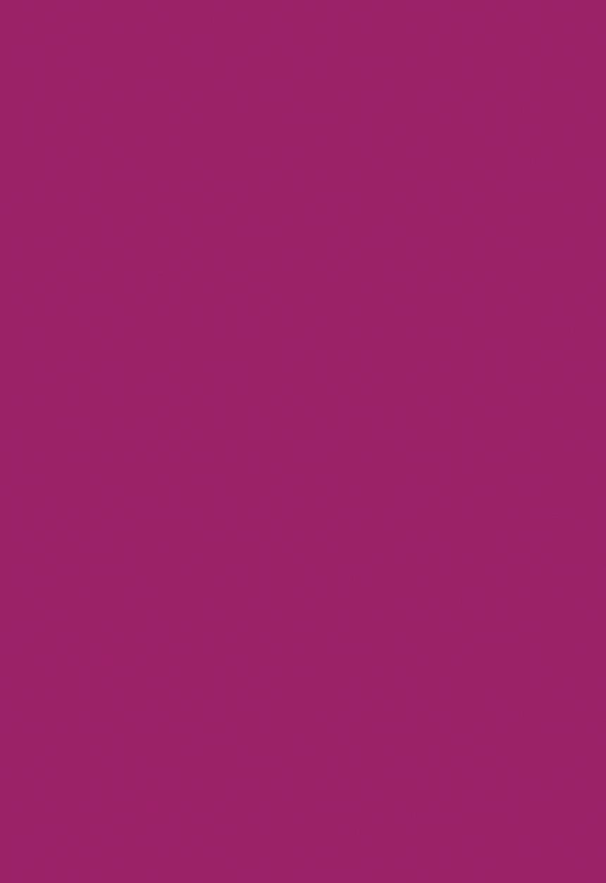 Black Opal - COLORSPLURGE™ Liquid Matte Lipstick - Fab Fuschia