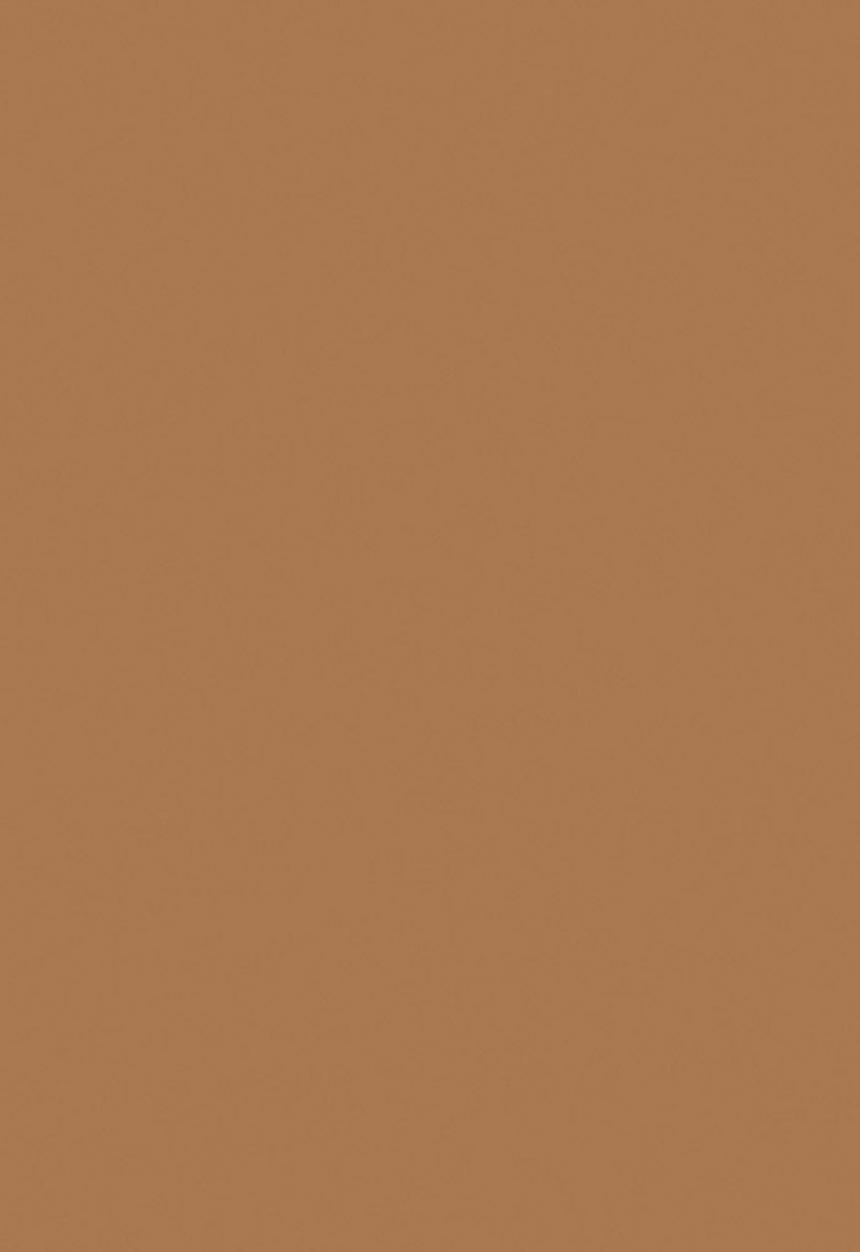 Black Opal - TRUE COLOR® Skin Perfecting Stick Foundation - Yes Honey