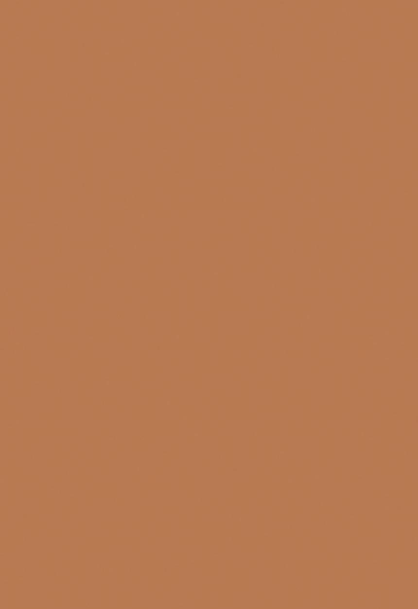 Black Opal - TRUE COLOR® Skin Perfecting Stick Foundation - Sierra Slay