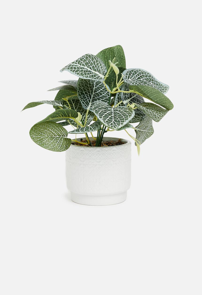 H&S - Potted artificial plant - white