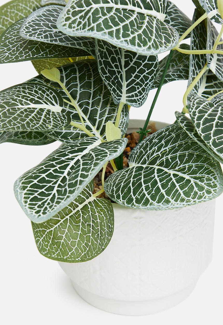 H&S - Potted artificial plant - white