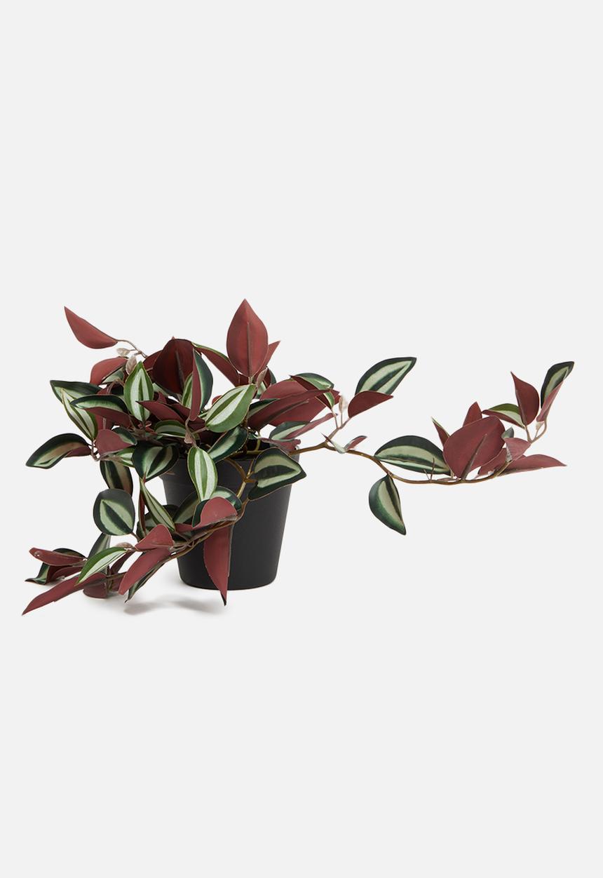 H&S - Tradescantia artificial plant - dark green