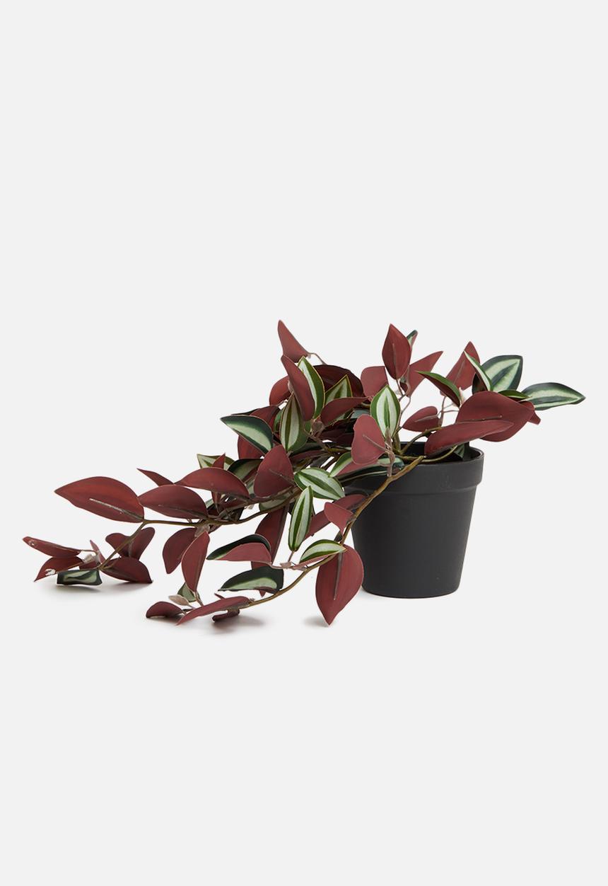 H&S - Tradescantia artificial plant - dark green