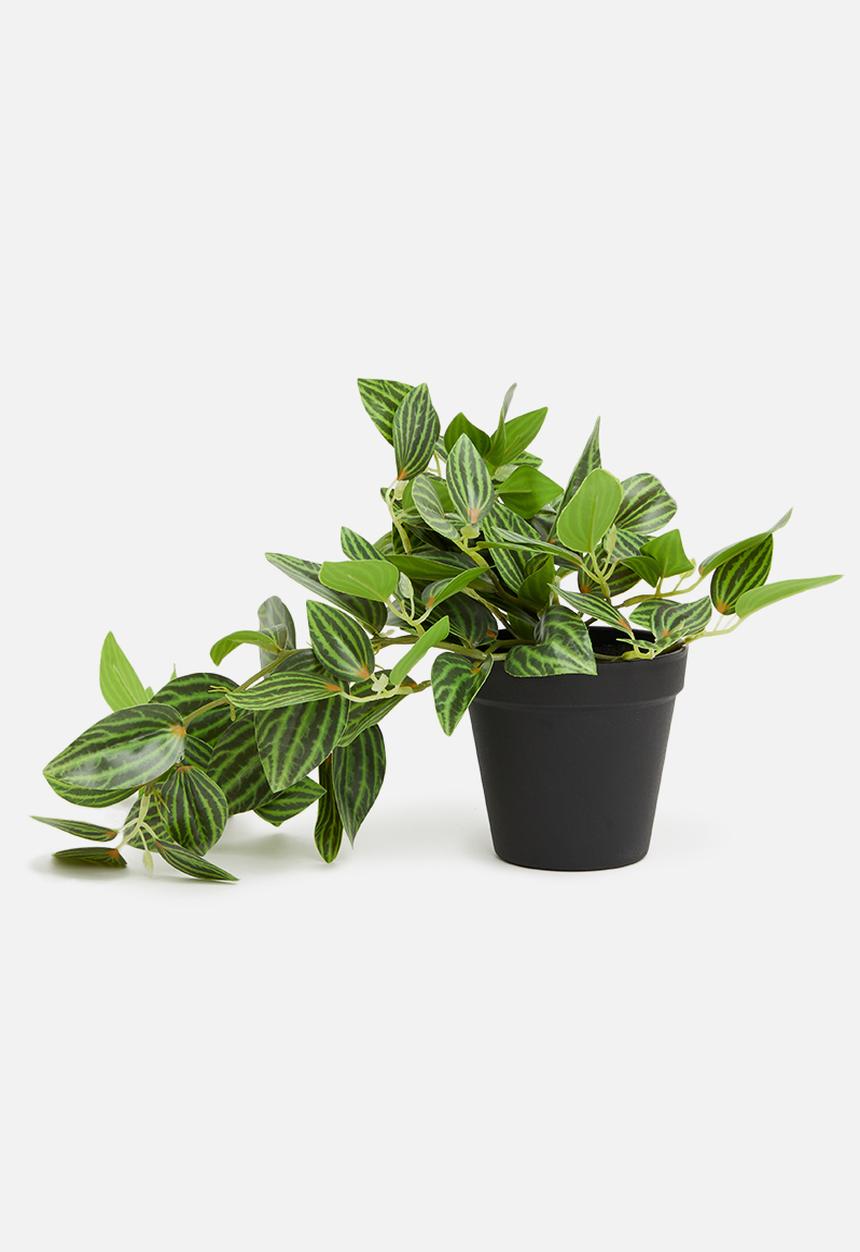 H&S - Tradescantia artificial plant - bright green