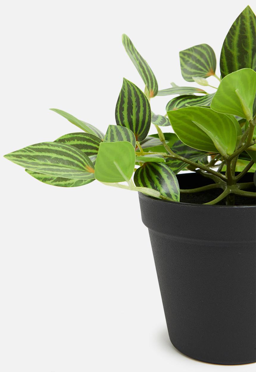 H&S - Tradescantia artificial plant - bright green