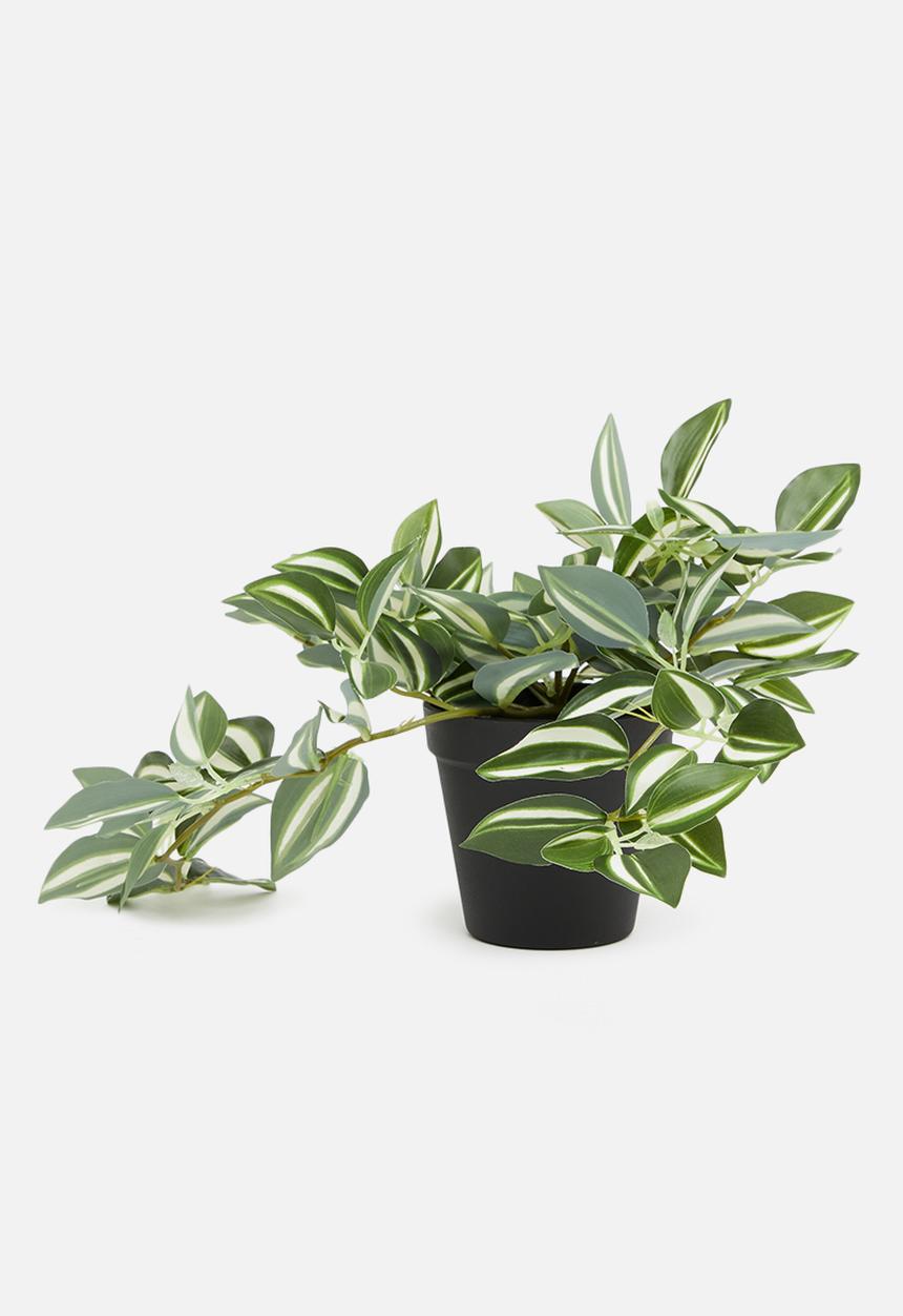 H&S - Tradescantia artificial plant - mid tone green