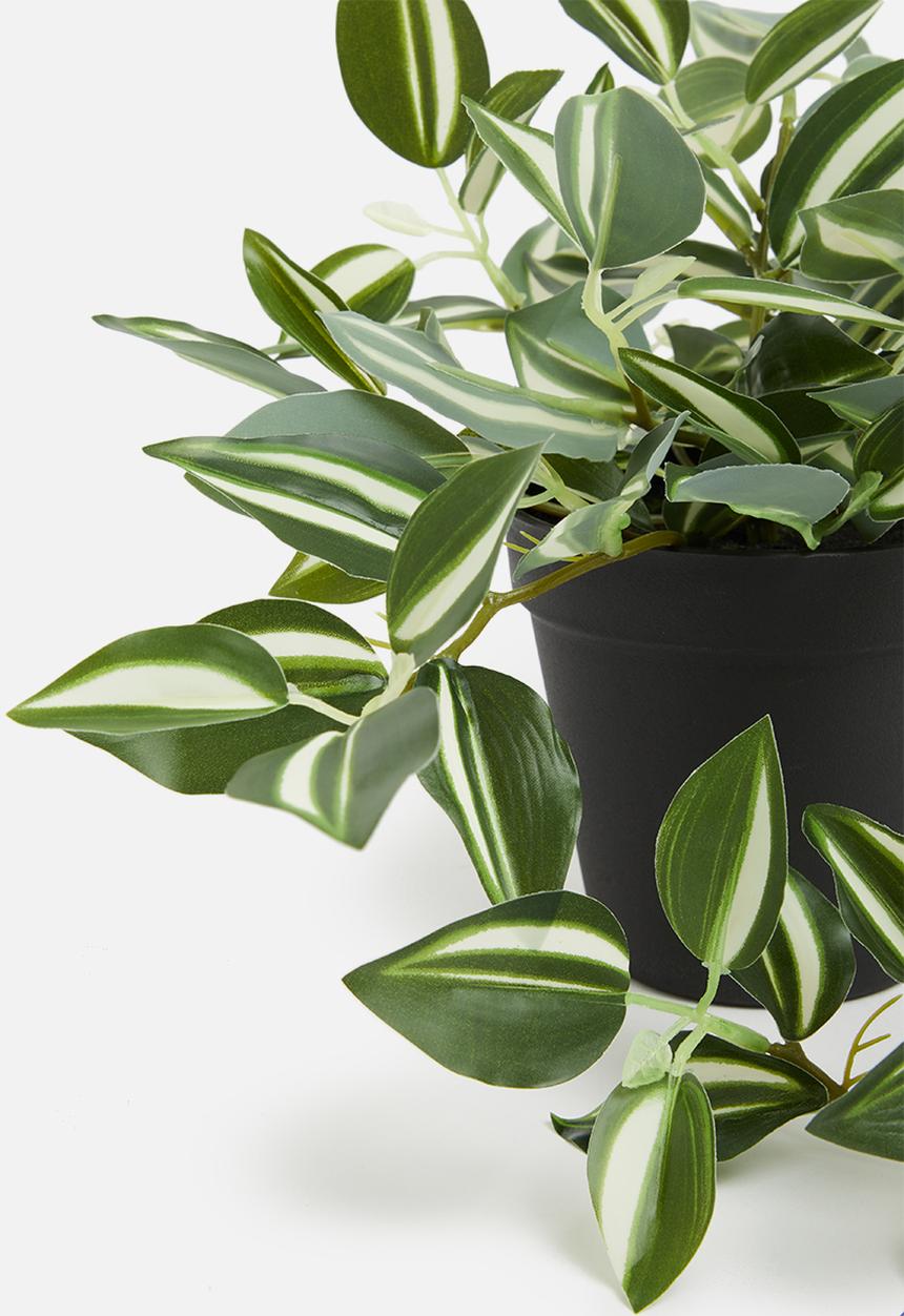 H&S - Tradescantia artificial plant - mid tone green