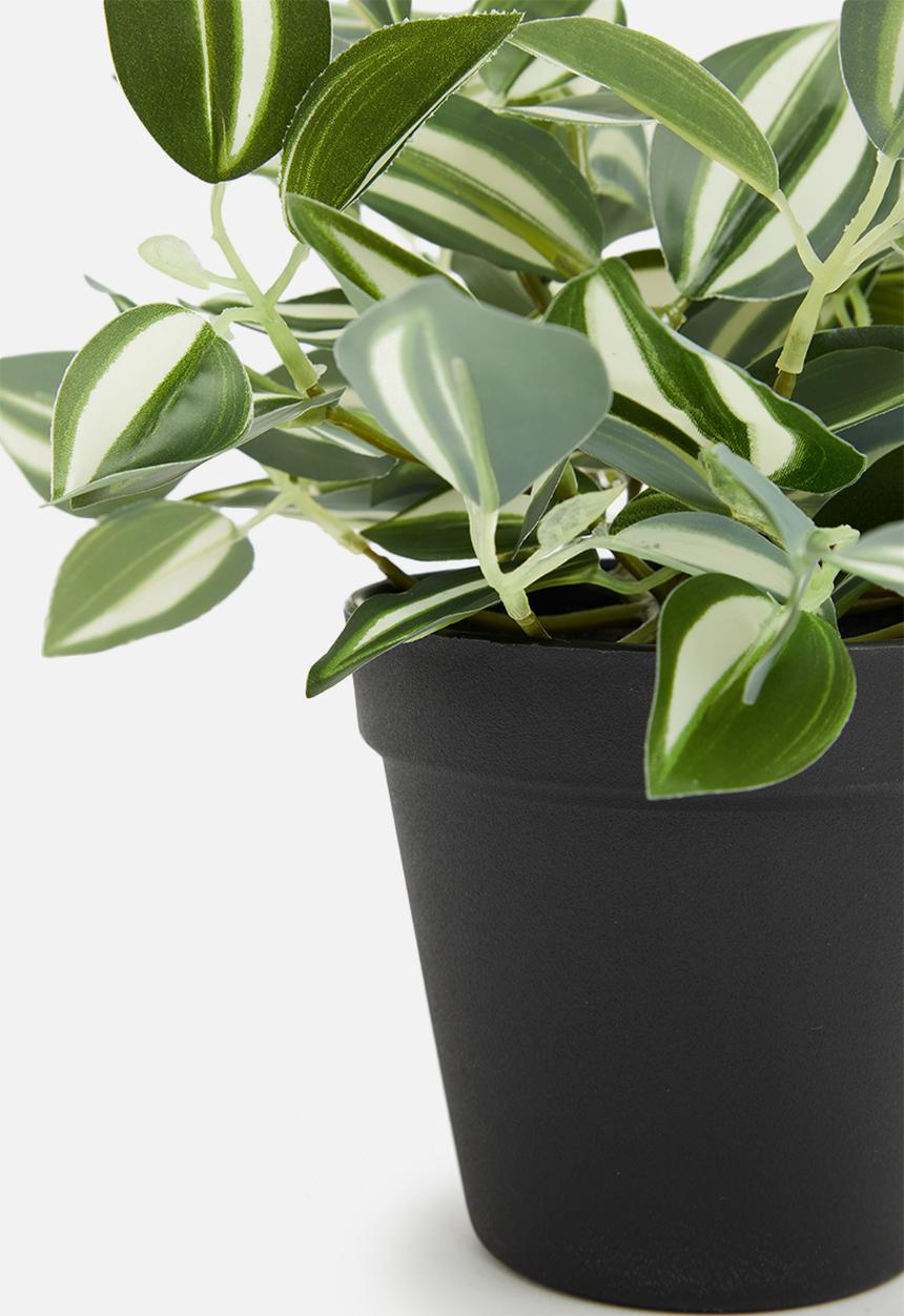 H&S - Tradescantia artificial plant - mid tone green