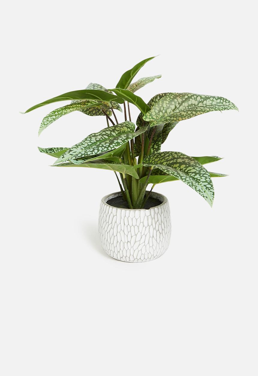 H&S - Syngonium artificial plant potted - green 