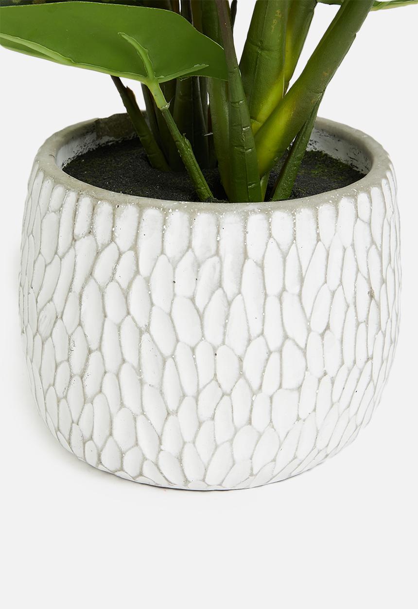 H&S - Syngonium artificial plant potted - green 