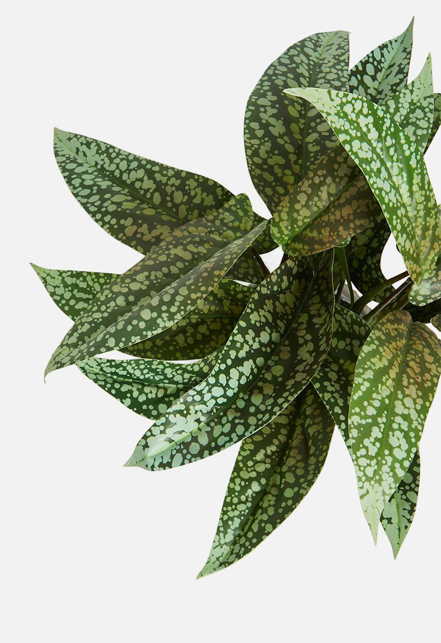 H&S - Syngonium artificial plant potted - green 