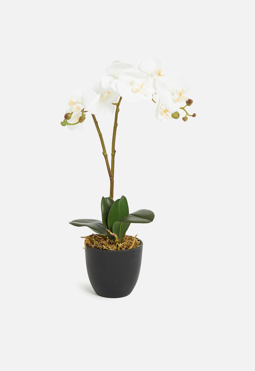 Sixth Floor - Orchid artificial plant - black pot