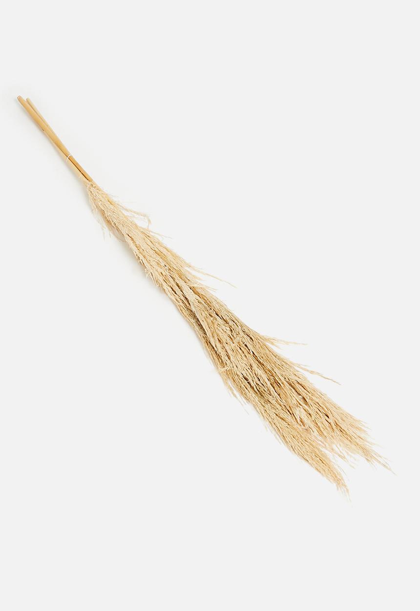 H&S - Pampas flowers - brown