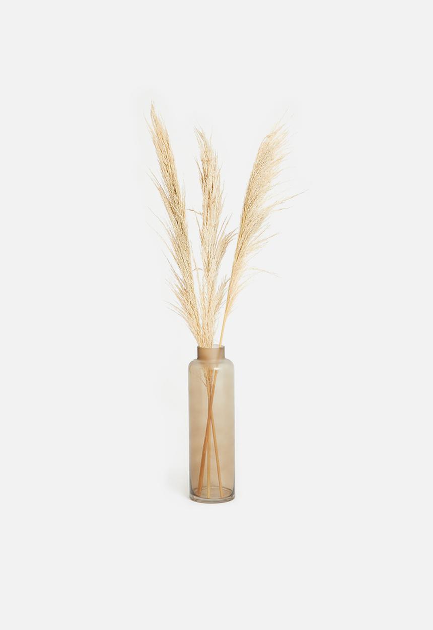 H&S - Pampas flowers - brown