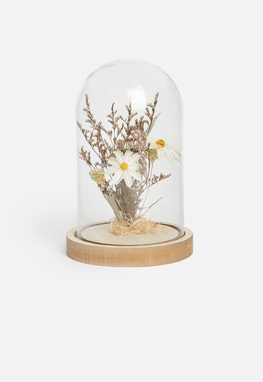 H&S - Flower in dome - daisy