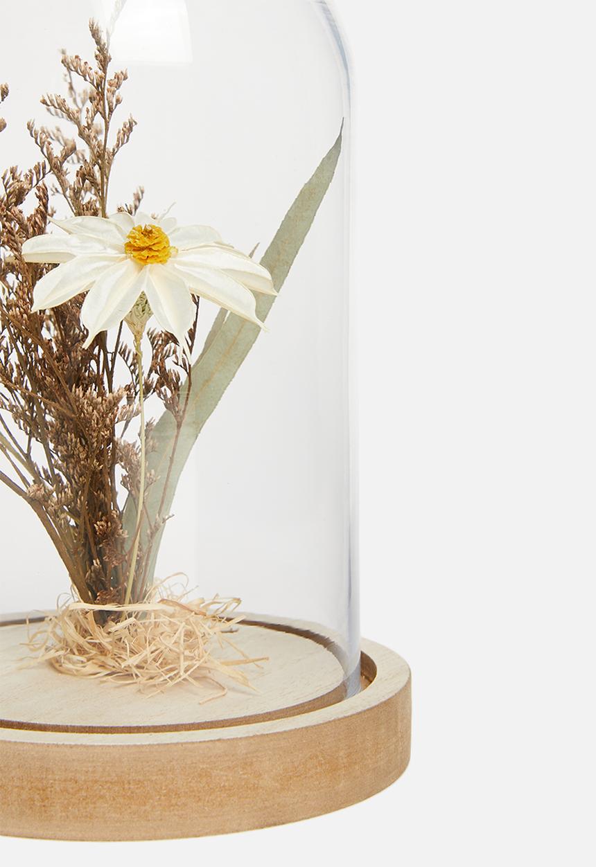 H&S - Flower in dome - daisy
