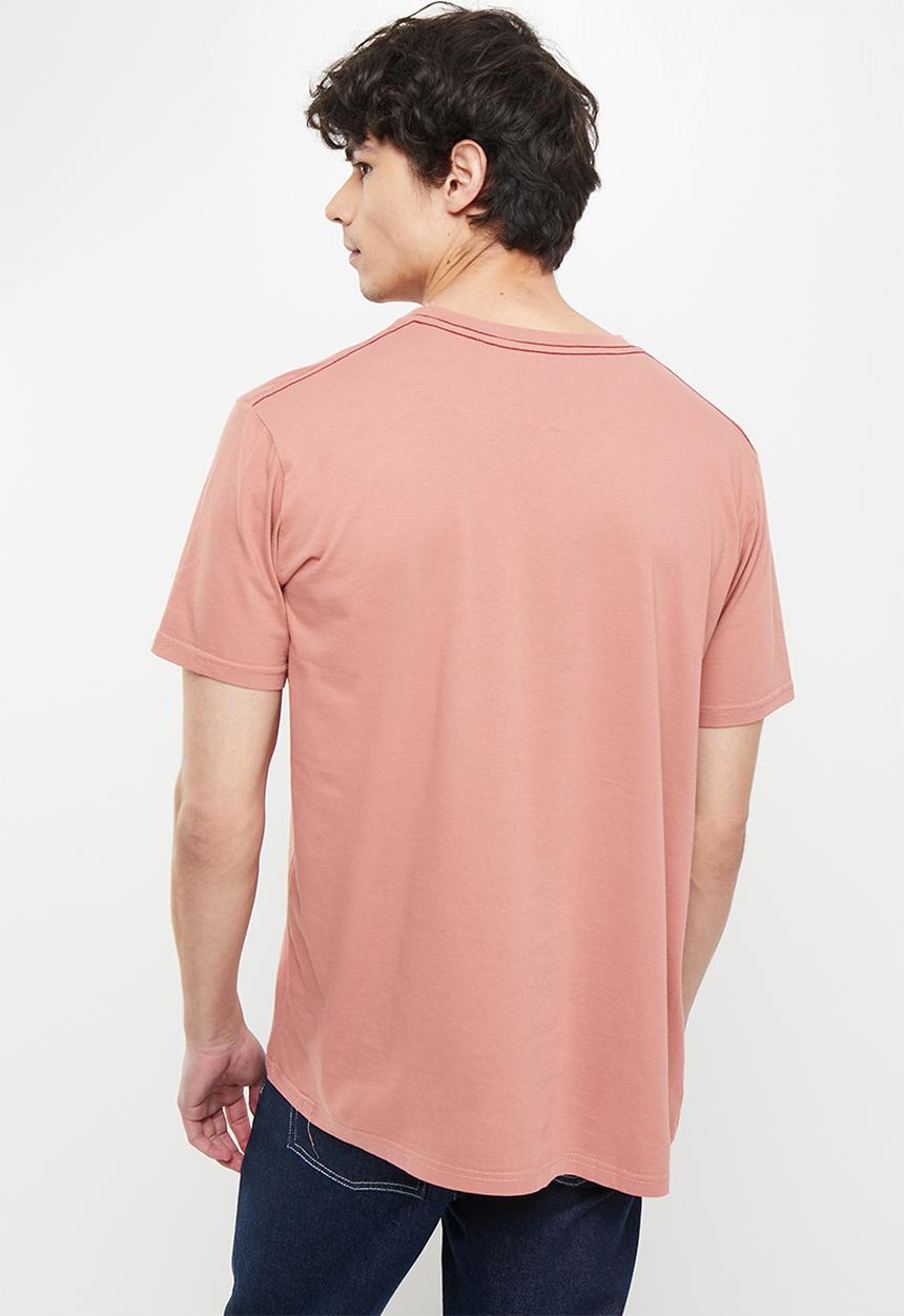 RVCA - Big rvca short sleeve - chai