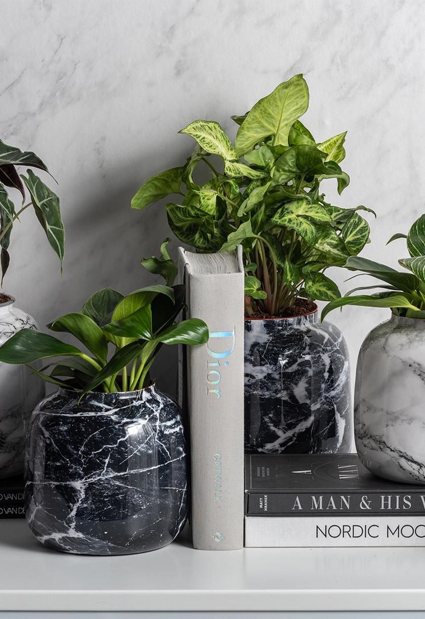 Present Time - Marble look sphere medium vase - black