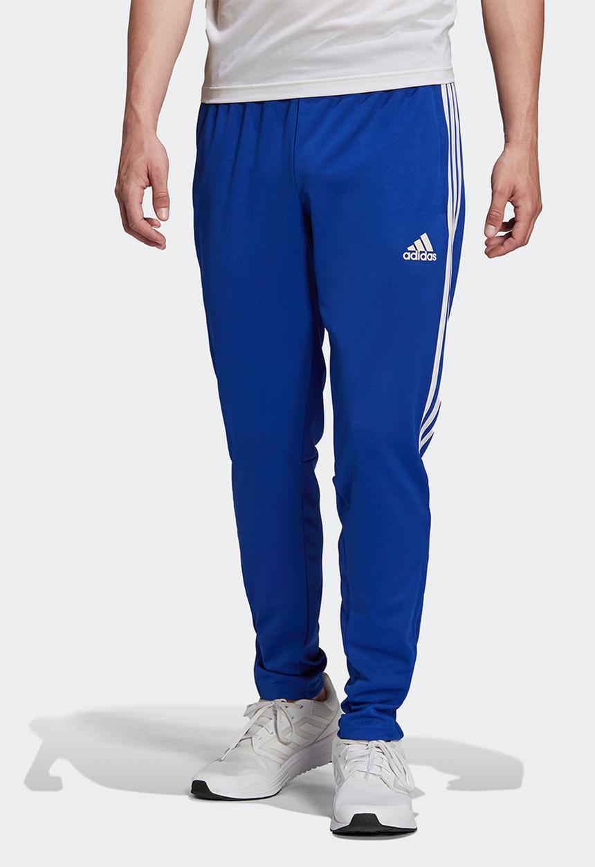 adidas Performance - M sereno pt - team royal blue