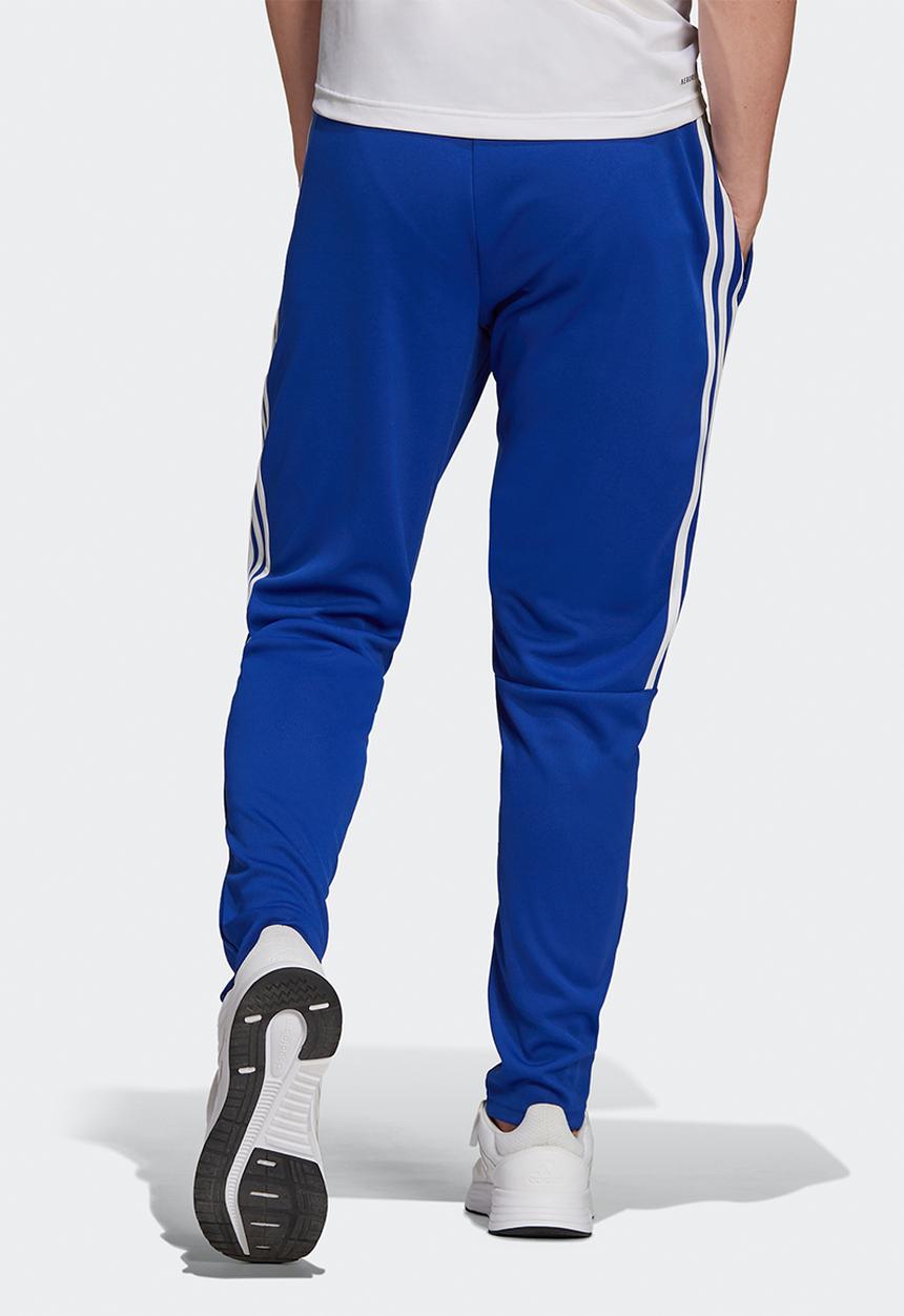 adidas Performance - M sereno pt - team royal blue
