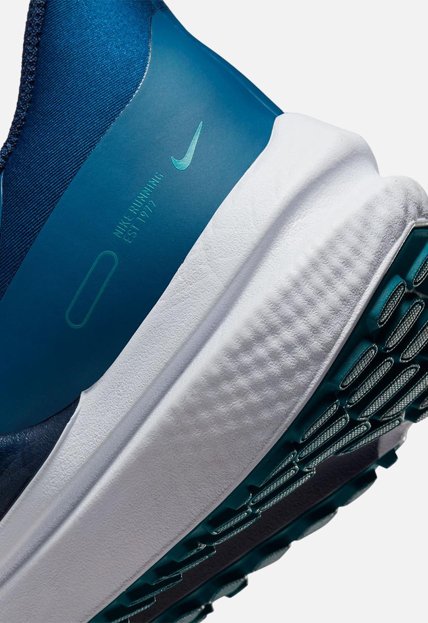 Nike - Air Winflo 9