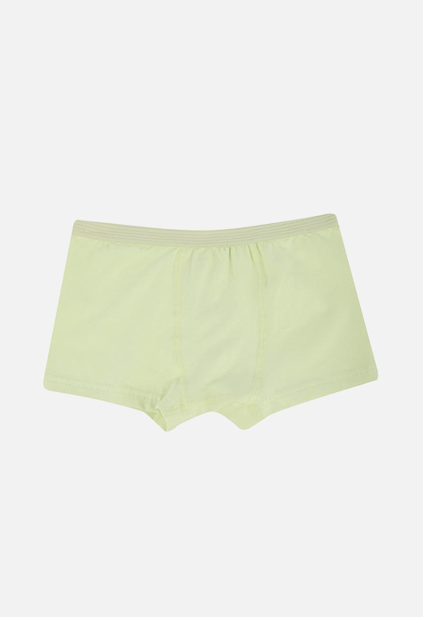 Trendyol - Boys boxer shorts - grey & mint